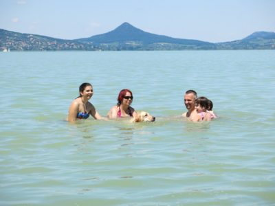 A képen 2 hölgy, egy férfi és két kisgyerek fürdőzik a Balatonban. Előttük úszik egy sárga labrador.