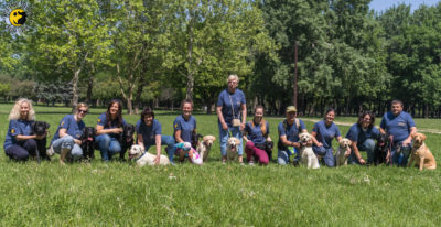 Egy sorban egymás mellett ülnek kutyáikkal a kölyöknevelők